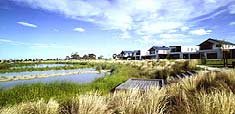 Roxburgh park wetlands