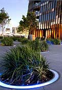 Tower 5, Yarra's Edge